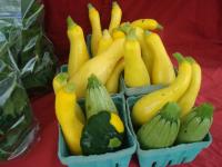 Summer Squash