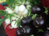 Eggplants and Onions