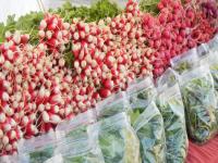 Radishes